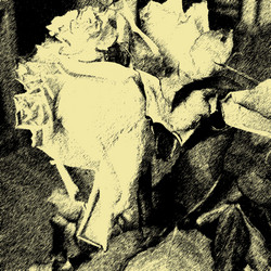 Similar image 7900294