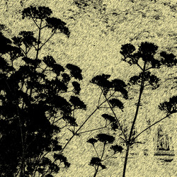 Similar image 7900310