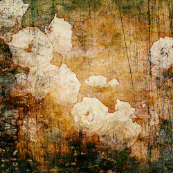 Similar image 7900352