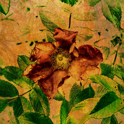 Similar image 7900399