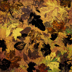 Similar image 7900407