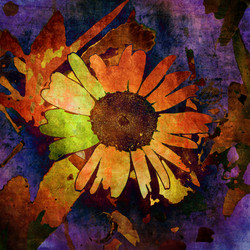 Similar image 7900423