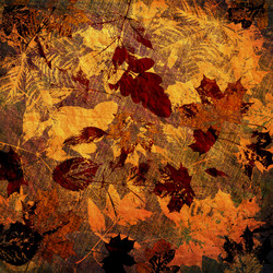 Similar image 7900437