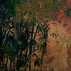 Similar image 7900465