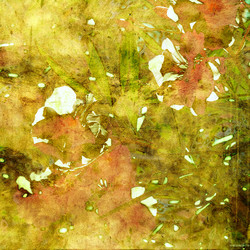 Similar image 7900469