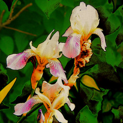 Similar image 7900497