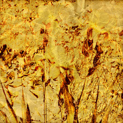 Similar image 7900506