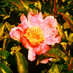 Similar image 7900538