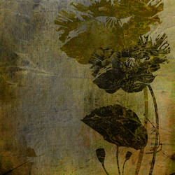 Similar image 7900549