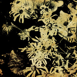 Similar image 7900552