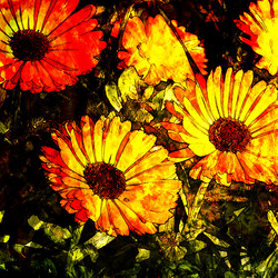 Similar image 7900560