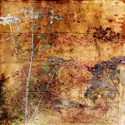 Similar image 7900586