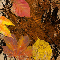 Similar image 7900588