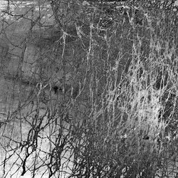 Similar image 7900589