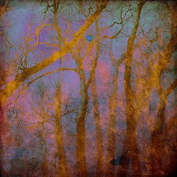 Similar image 7900613