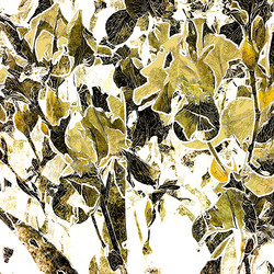 Similar image 7900640