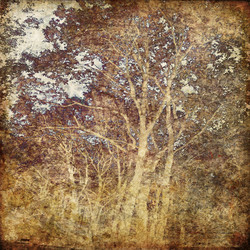 Similar image 7900652