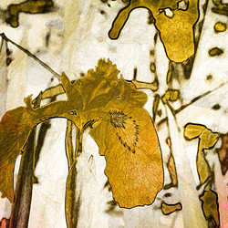 Similar image 7900667