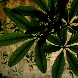 Similar image 7900669