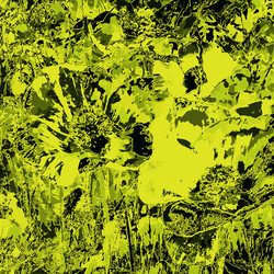 Similar image 7900682