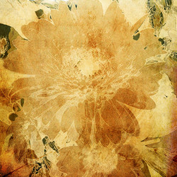 Similar image 7900712