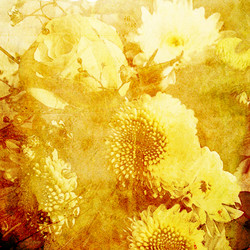 Similar image 7900726