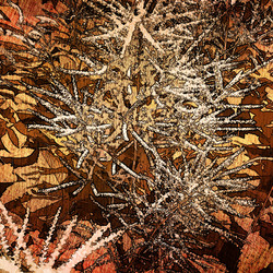 Similar image 7900763