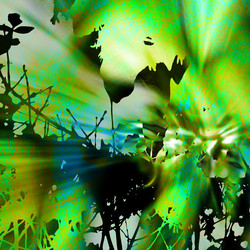 Similar image 7900767