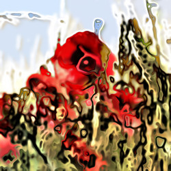 Similar image 7900804