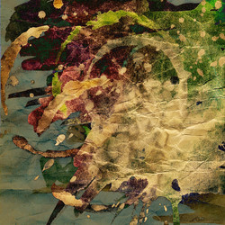 Similar image 7900811