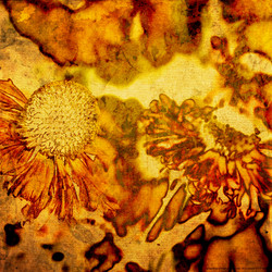 Similar image 7900815