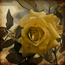 Similar image 7900834