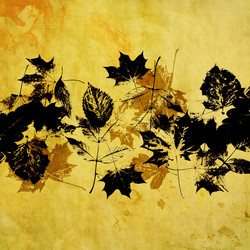 Similar image 7900841