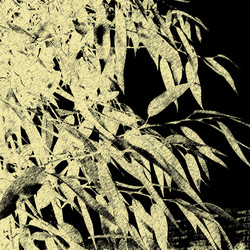 Similar image 7900851