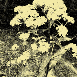 Similar image 7900854