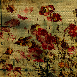 Similar image 7900868