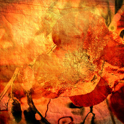 Similar image 7900890