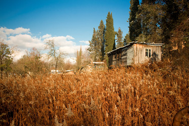 Similar image 7900946