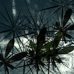 Similar image 7900983