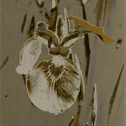 Similar image 7900998