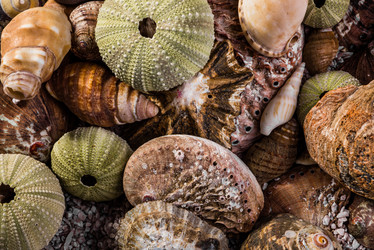 Similar image 7901234