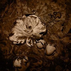 Similar image 7901298