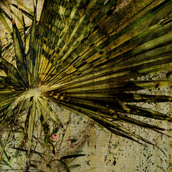 Similar image 7901329