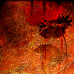 Similar image 7901354