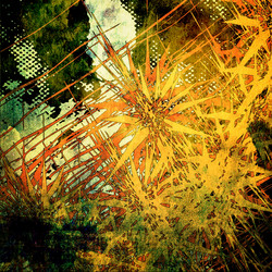 Similar image 7901364