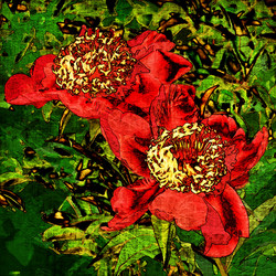 Similar image 7901430