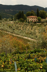 Similar image 7901600