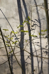 Similar image 7901601