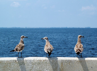 Similar image 7901604