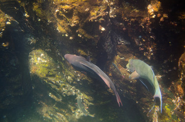 Similar image 7901606